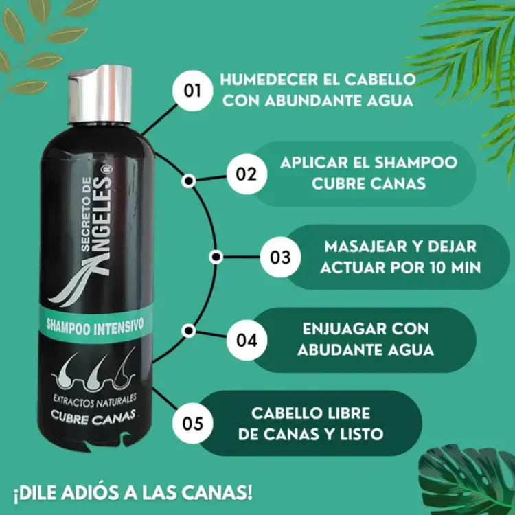 Shampoo Cubre Canas Secreto de Angeles