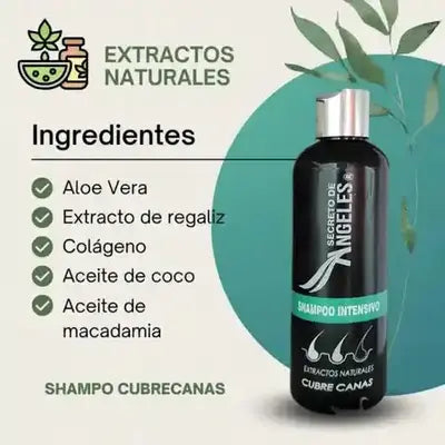 Shampoo Cubre Canas Secreto de Angeles