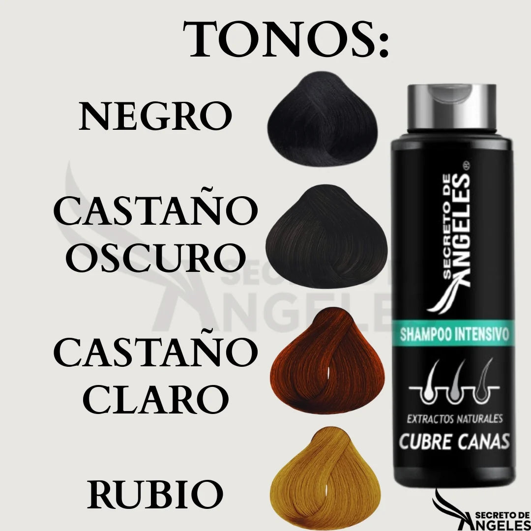 Shampoo Cubre Canas Secreto de Angeles