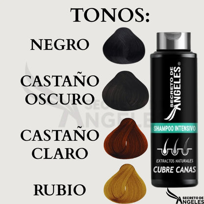 Shampoo Cubre Canas Secreto de Angeles